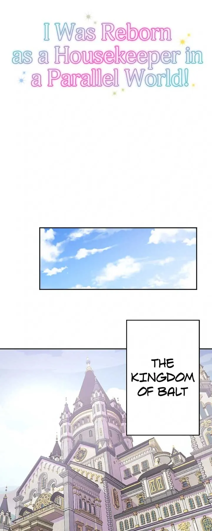 I Was Reborn as a Housekeeper in a Parallel World! Chapter 248 page 3 - 