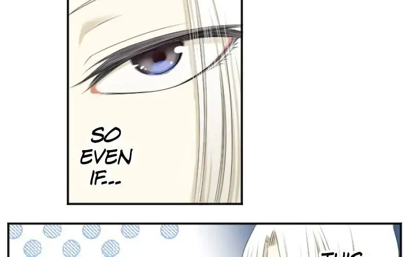 I Was Reborn as a Housekeeper in a Parallel World! Chapter 25 page 29 - 