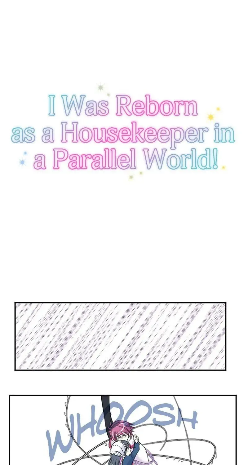 I Was Reborn as a Housekeeper in a Parallel World! Chapter 27 page 1 - 