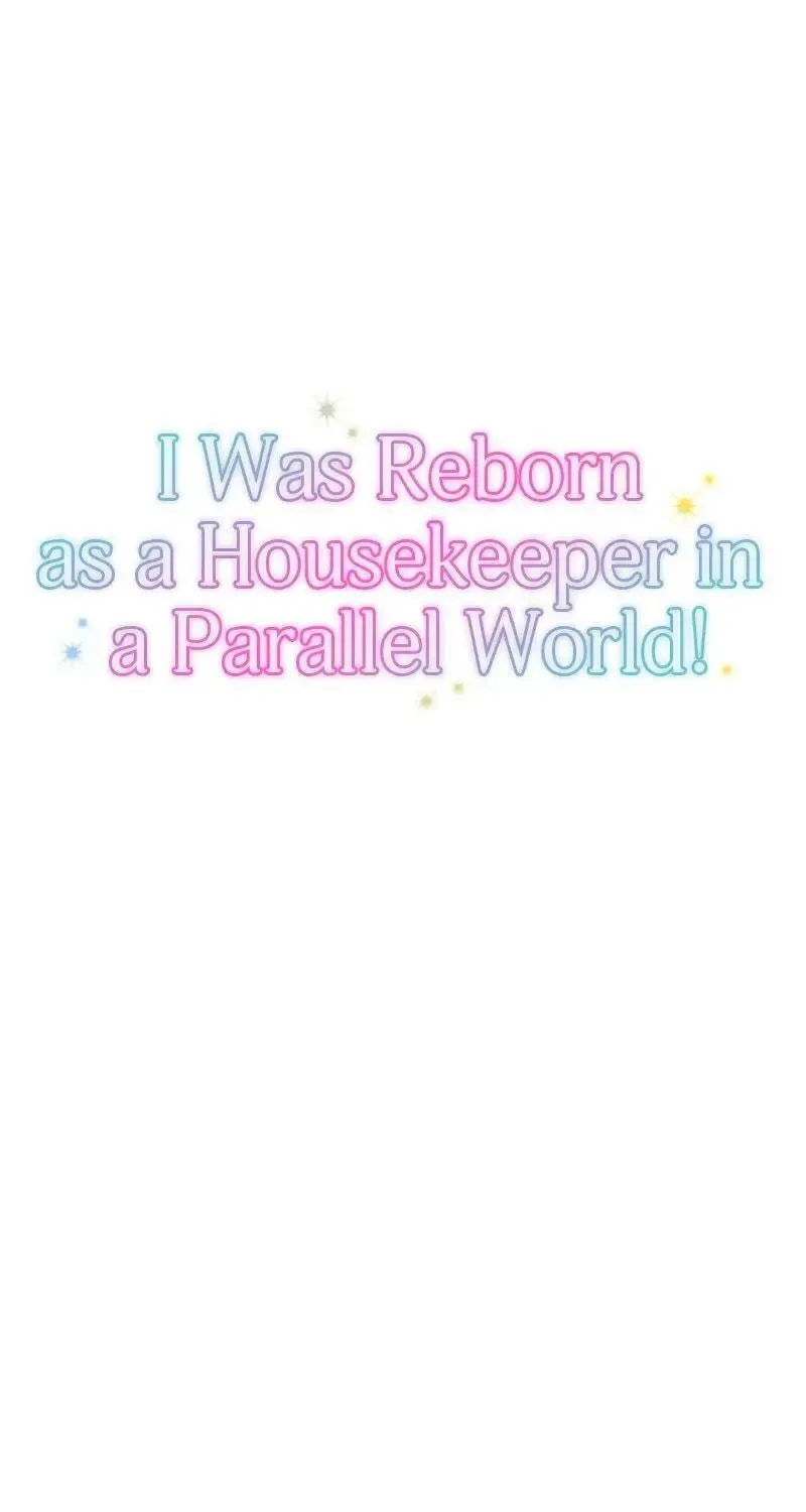 I Was Reborn as a Housekeeper in a Parallel World! Chapter 28 page 10 - 