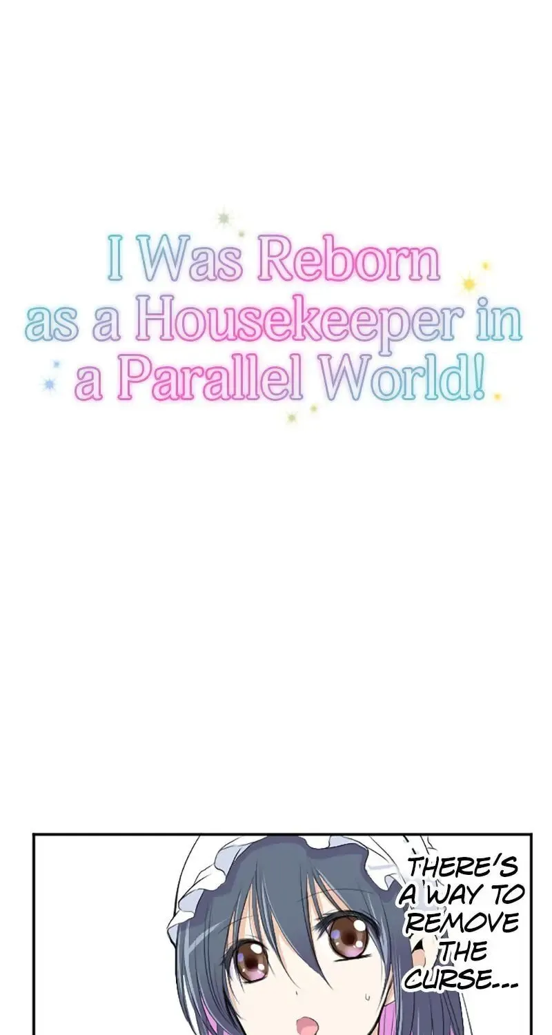 I Was Reborn as a Housekeeper in a Parallel World! Chapter 29 page 1 - 