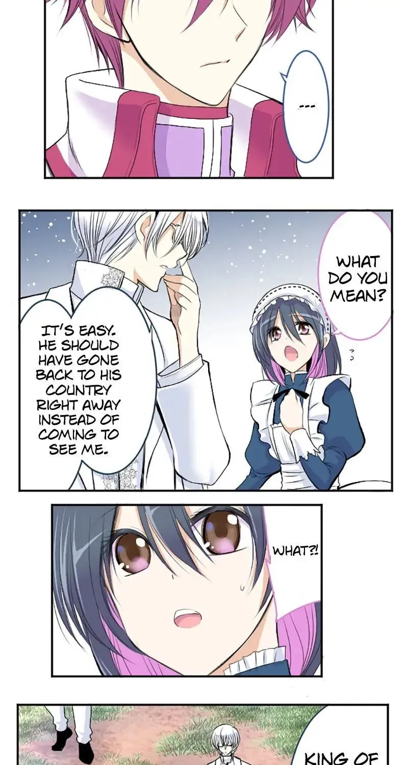 I Was Reborn as a Housekeeper in a Parallel World! Chapter 29 page 3 - 