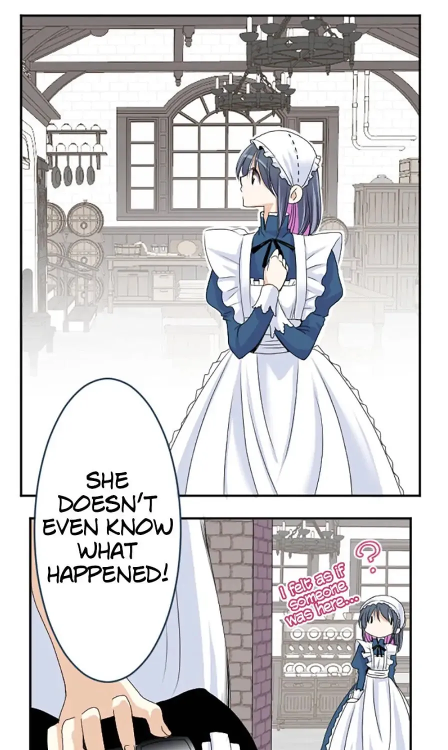 I Was Reborn as a Housekeeper in a Parallel World! Chapter 35 page 37 - 