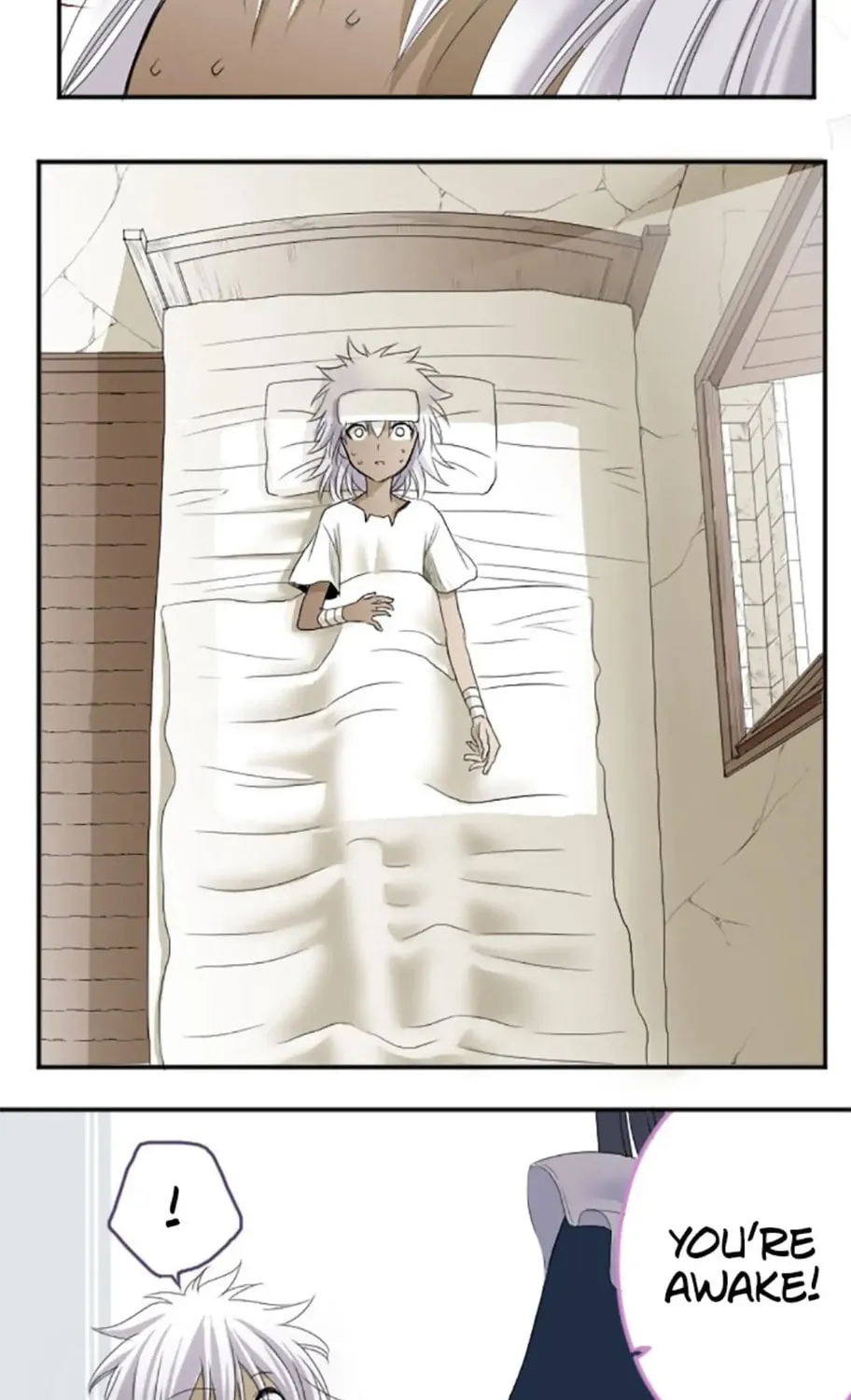 I Was Reborn as a Housekeeper in a Parallel World! Chapter 6 page 15 - 