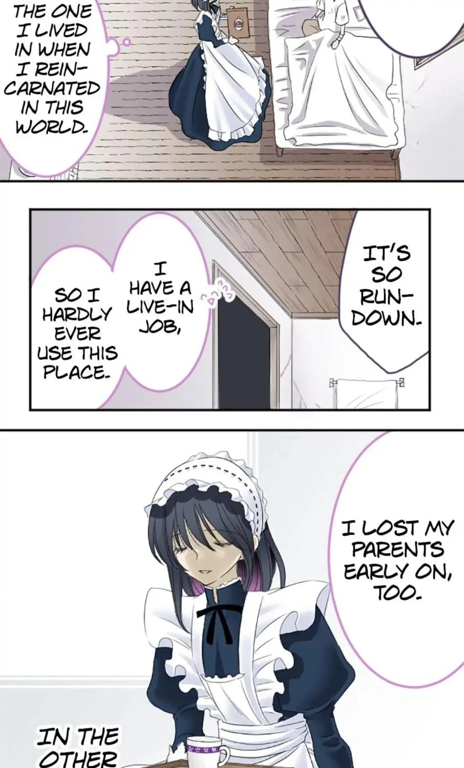 I Was Reborn as a Housekeeper in a Parallel World! Chapter 6 page 19 - 
