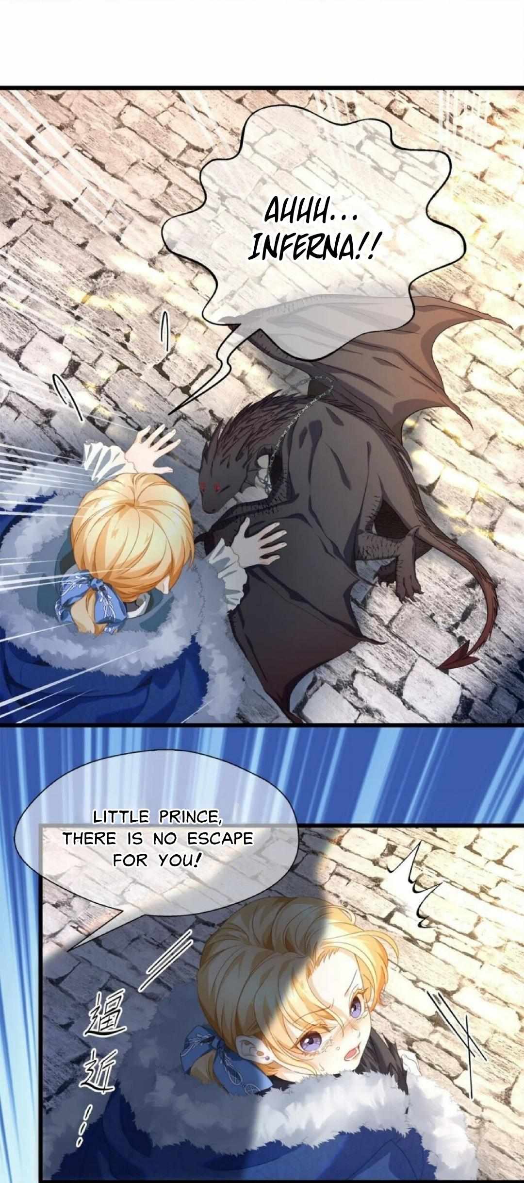 I Was Reborn as His Highness the Prince