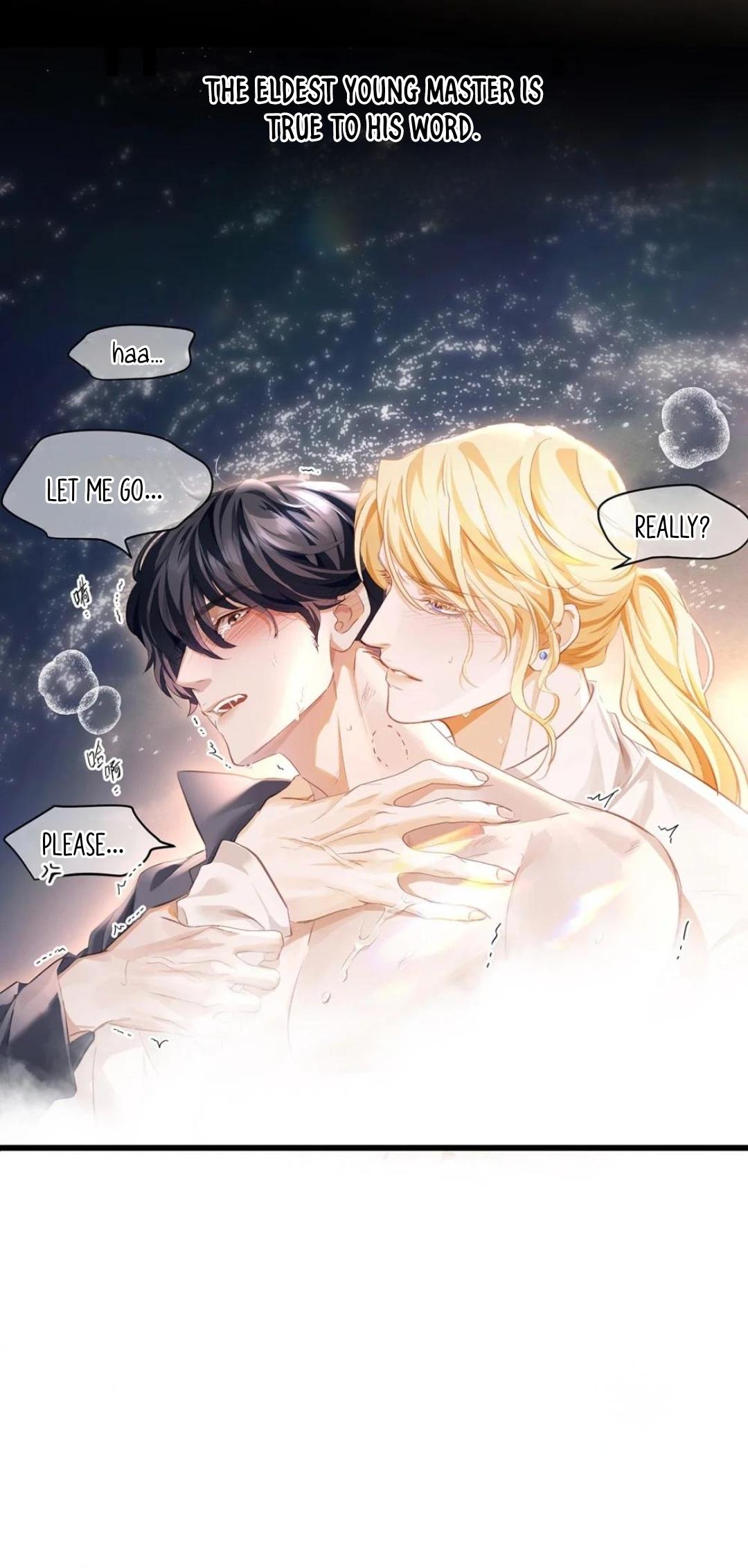 I Was Reborn as His Highness the Prince