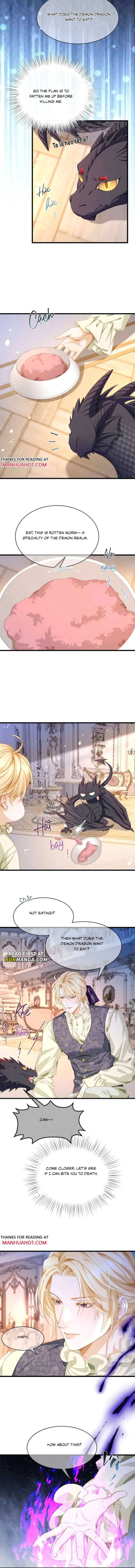 I Was Reborn as His Highness the Prince