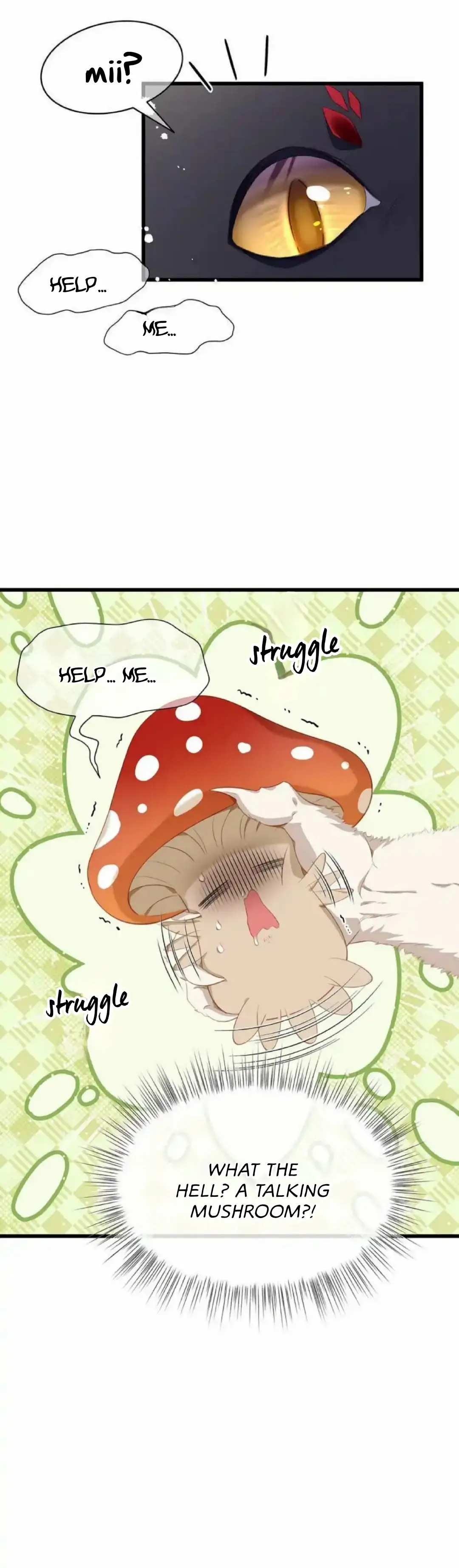 I Was Reborn as His Highness the Prince