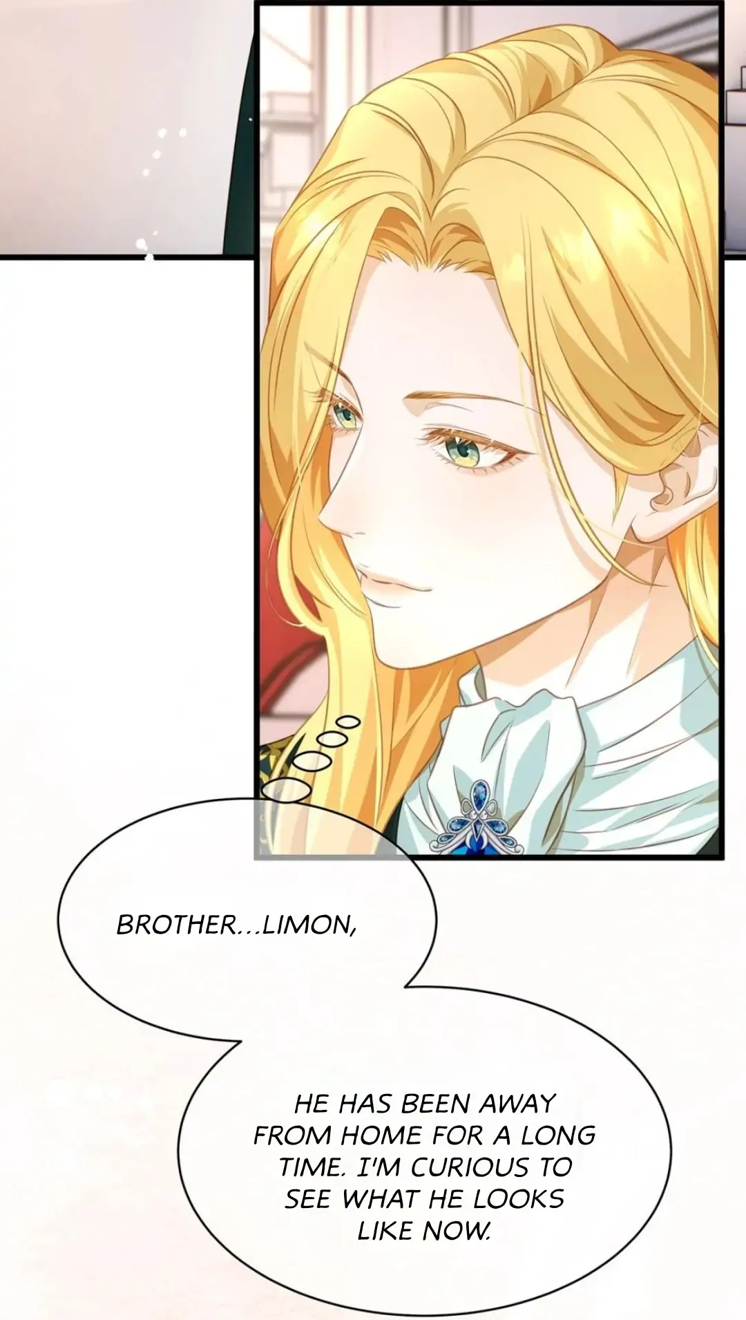 I Was Reborn as His Highness the Prince