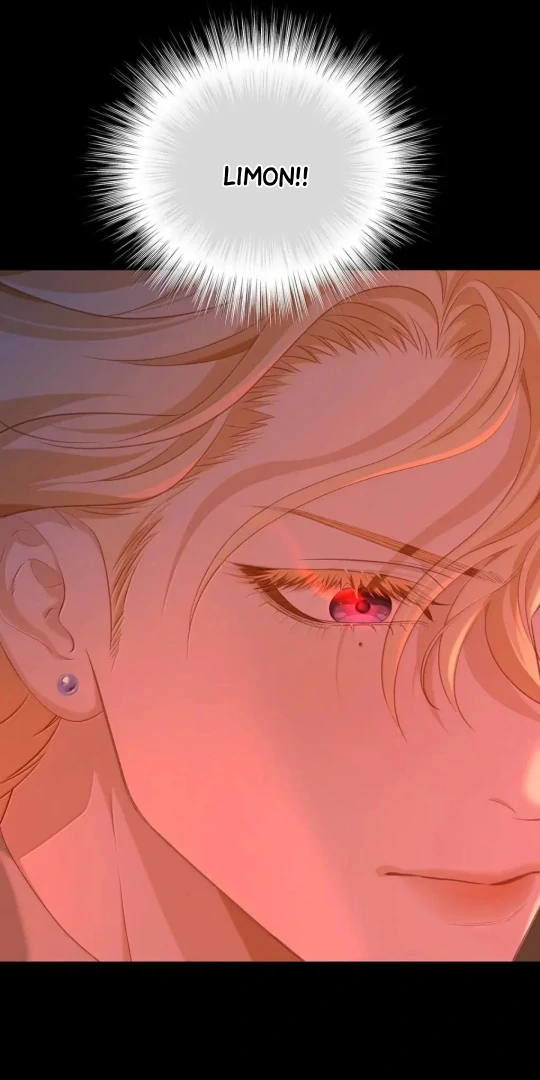 I Was Reborn as His Highness the Prince