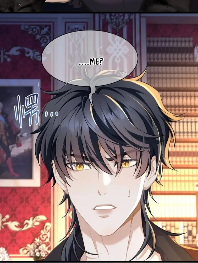 I Was Reborn as His Highness the Prince