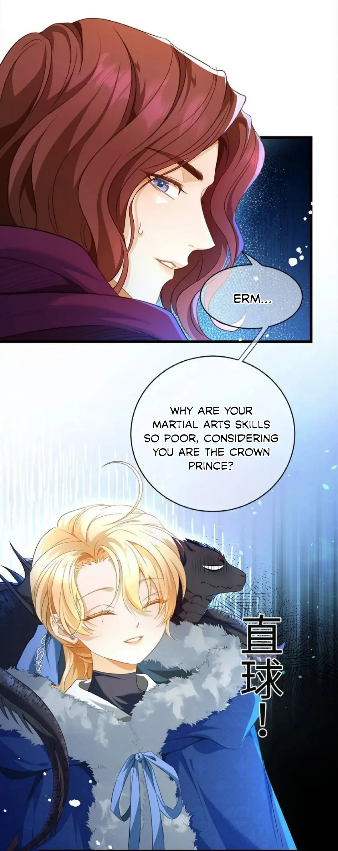 I Was Reborn as His Highness the Prince