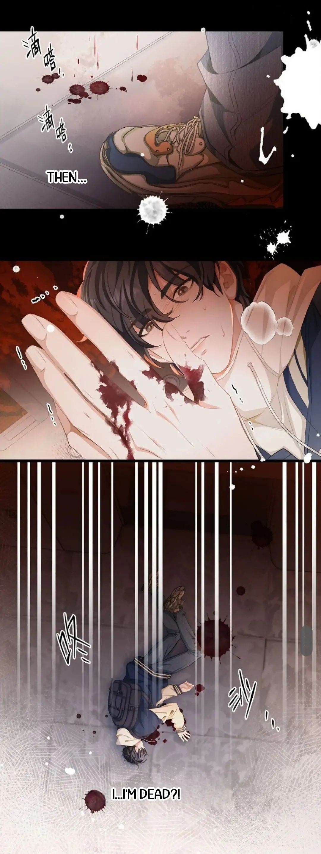 I Was Reborn as His Highness the Prince