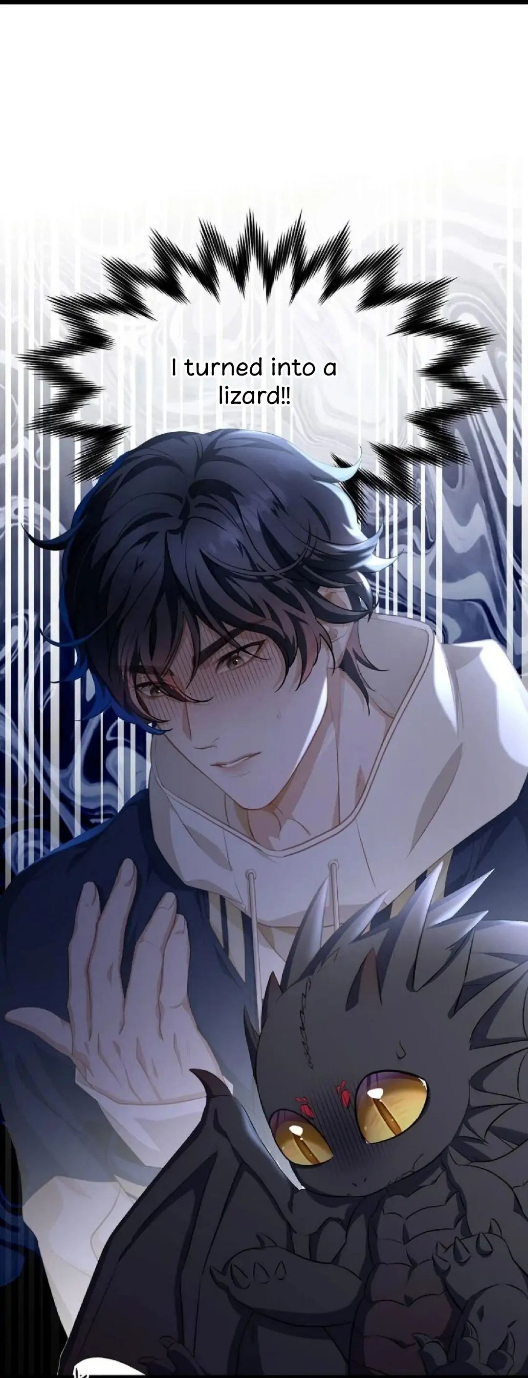 I Was Reborn as His Highness the Prince