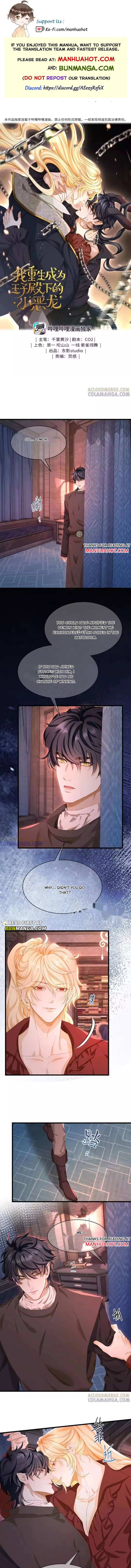 I Was Reborn as His Highness the Prince