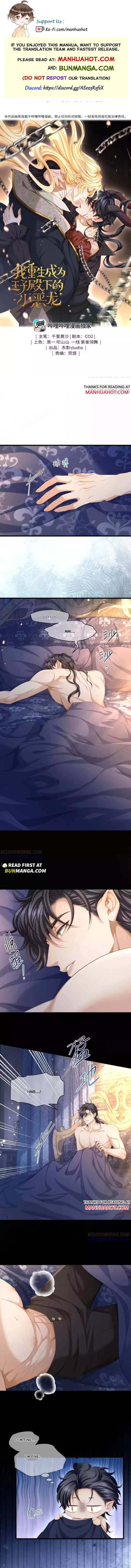 I Was Reborn as His Highness the Prince