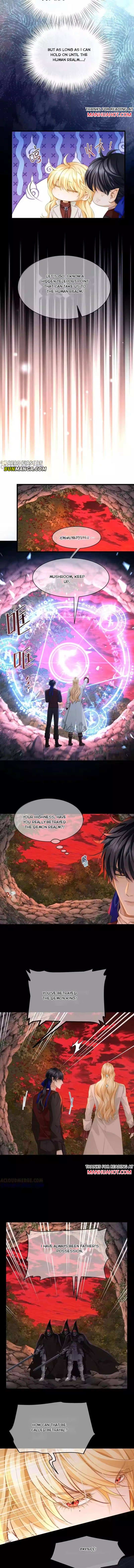 I Was Reborn as His Highness the Prince