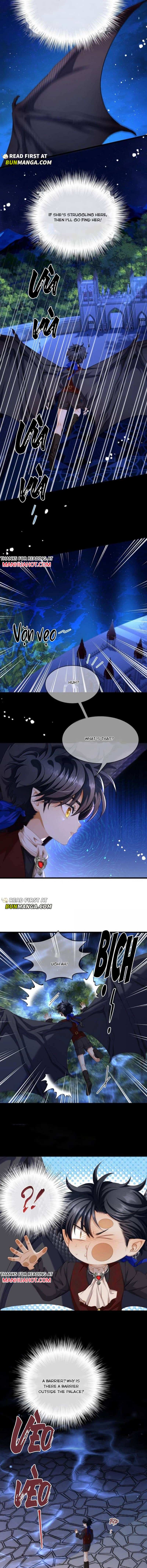I Was Reborn as His Highness the Prince