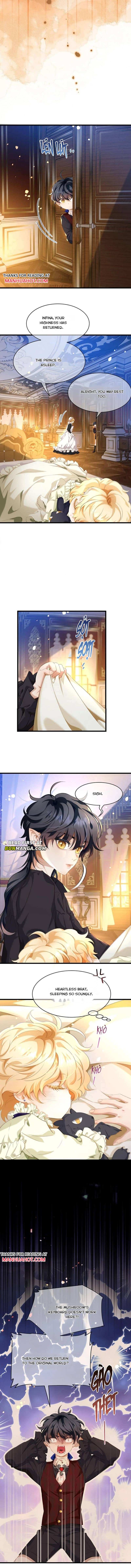 I Was Reborn as His Highness the Prince