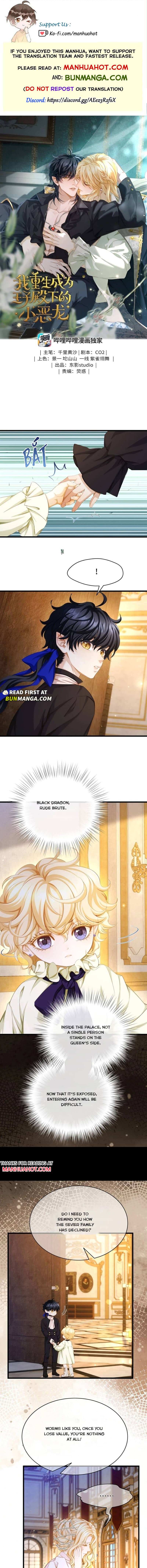 I Was Reborn as His Highness the Prince