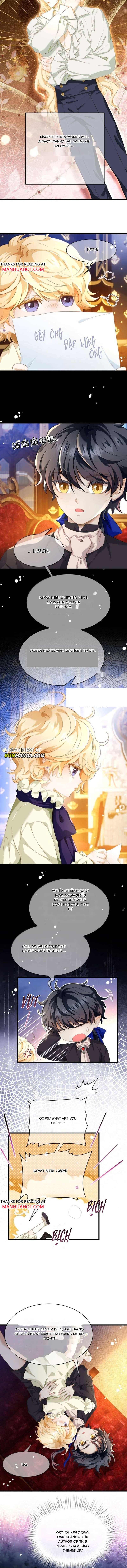 I Was Reborn as His Highness the Prince