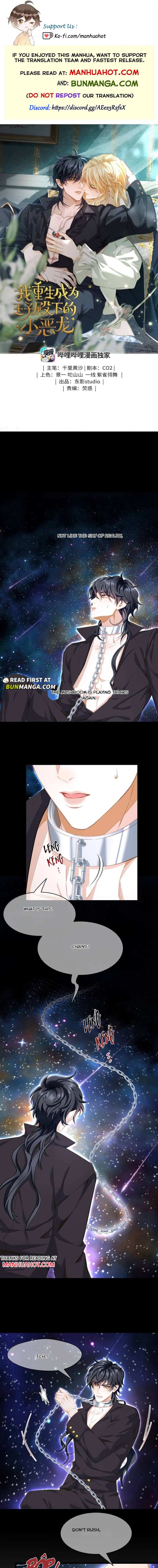 I Was Reborn as His Highness the Prince