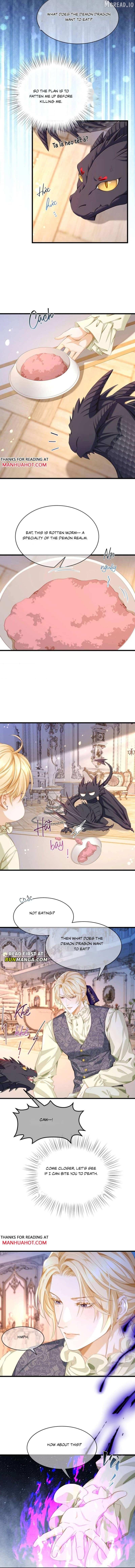 I Was Reborn as His Highness the Prince