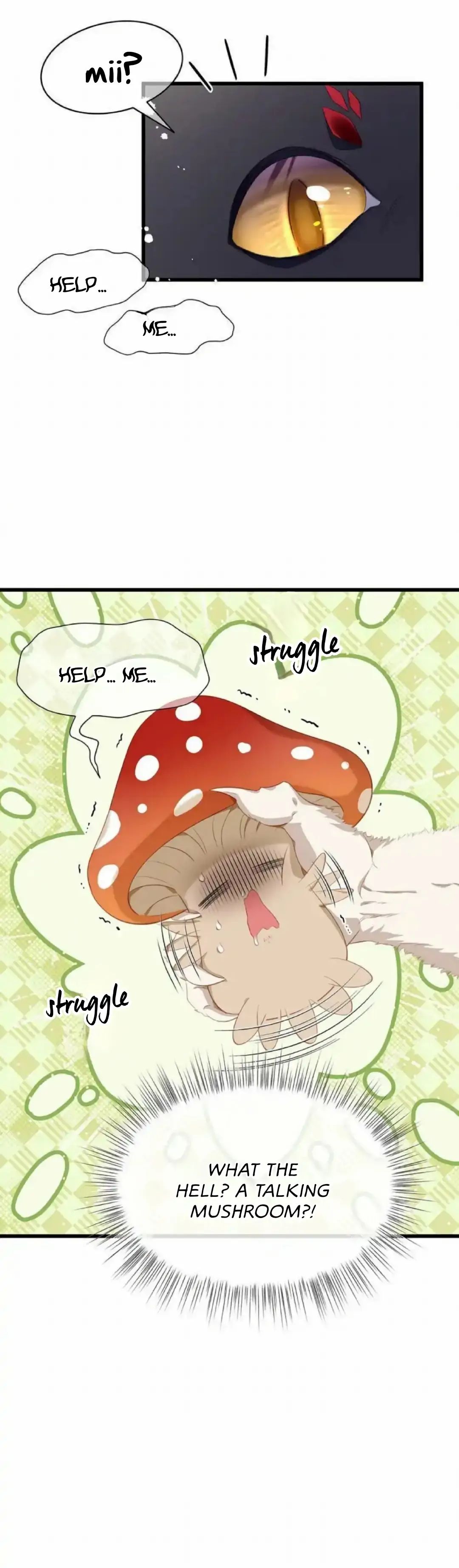 I Was Reborn as His Highness the Prince