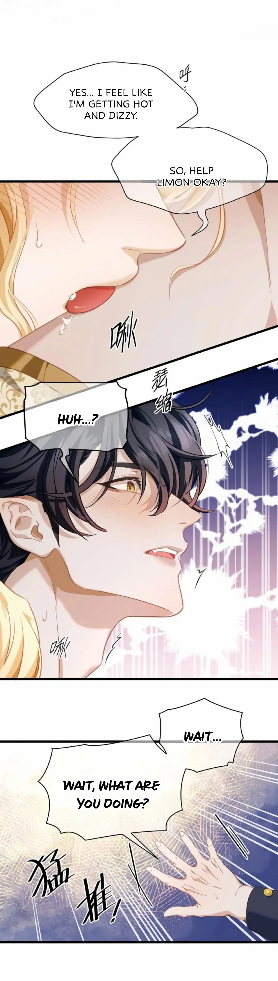 I Was Reborn as His Highness the Prince