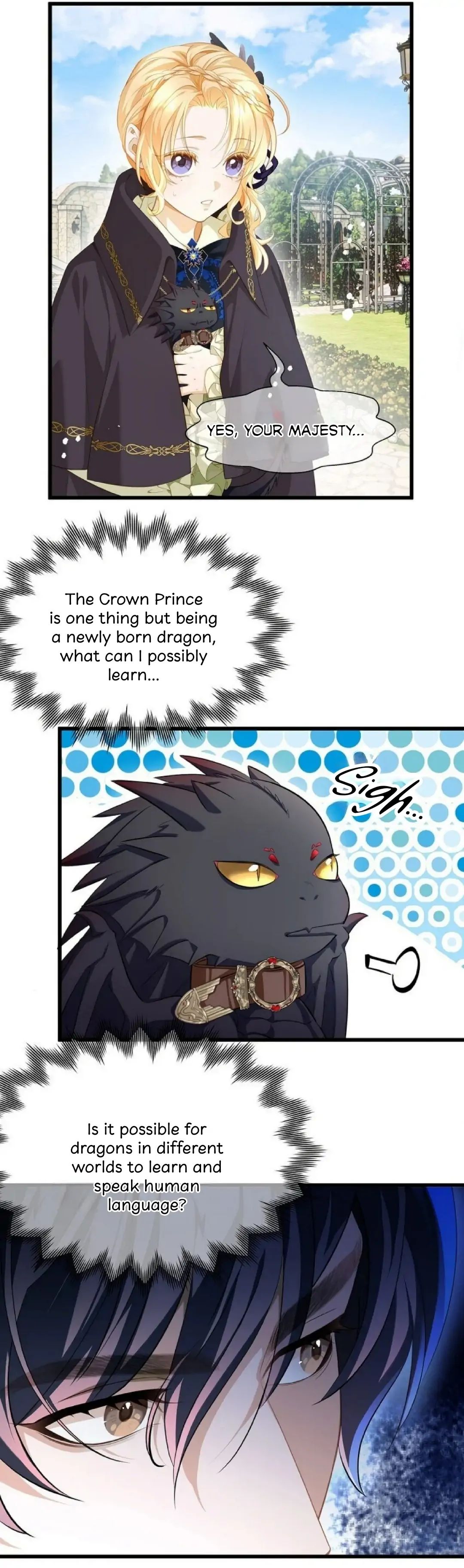 I Was Reborn as His Highness the Prince
