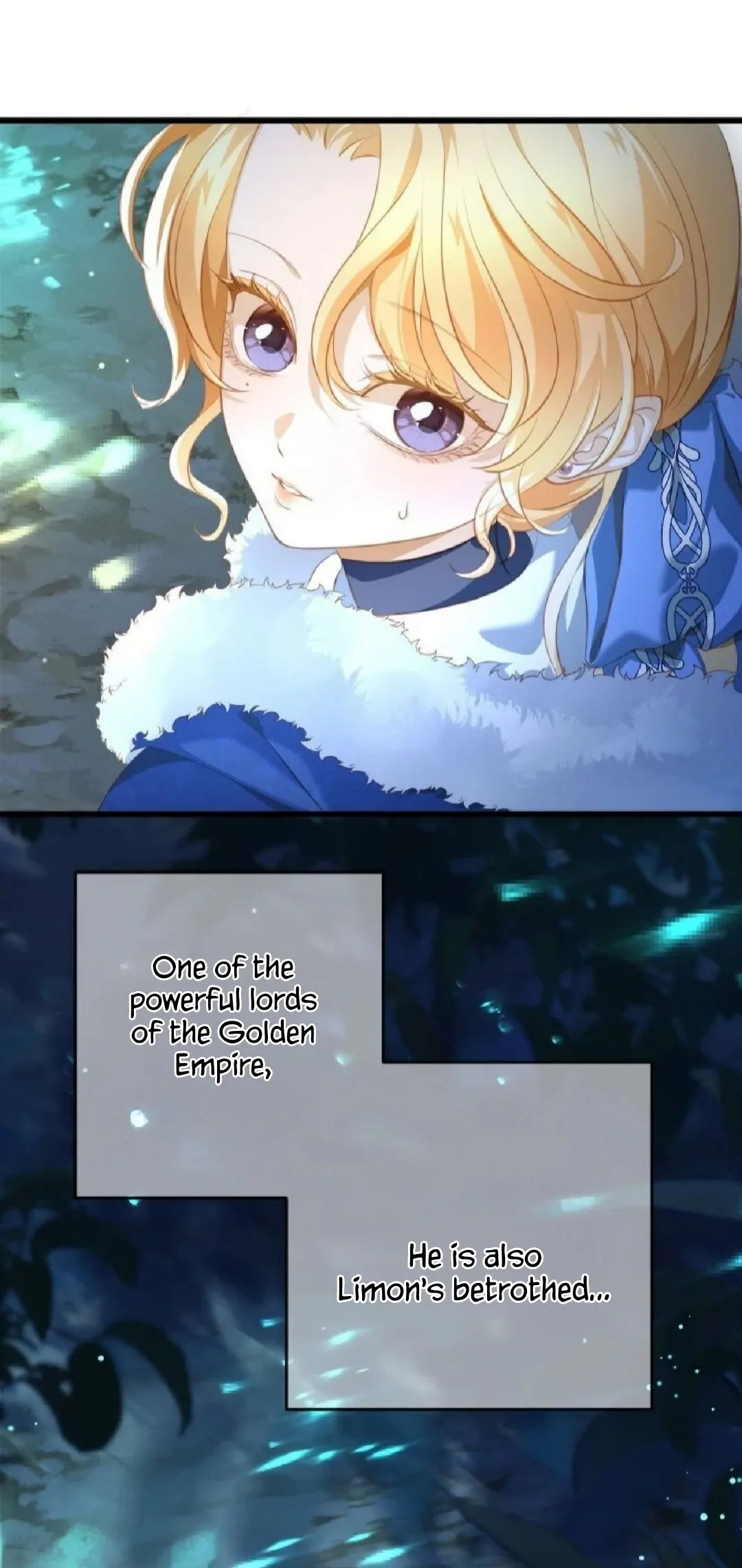 I Was Reborn as His Highness the Prince