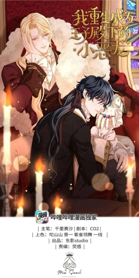 I Was Reborn as His Highness the Prince