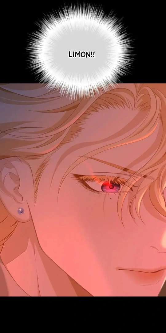 I Was Reborn as His Highness the Prince