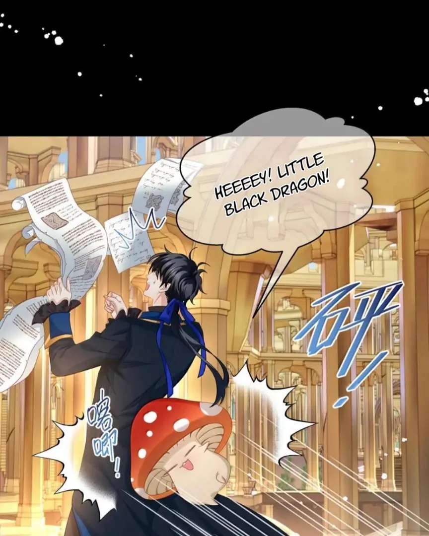 I Was Reborn as His Highness the Prince