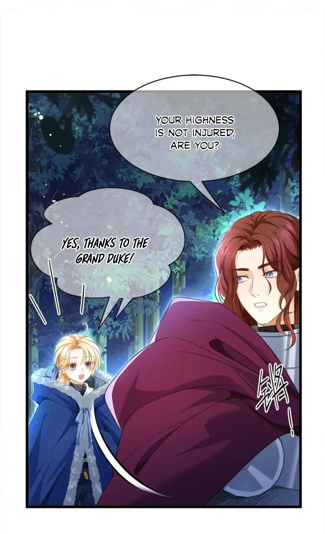 I Was Reborn as His Highness the Prince