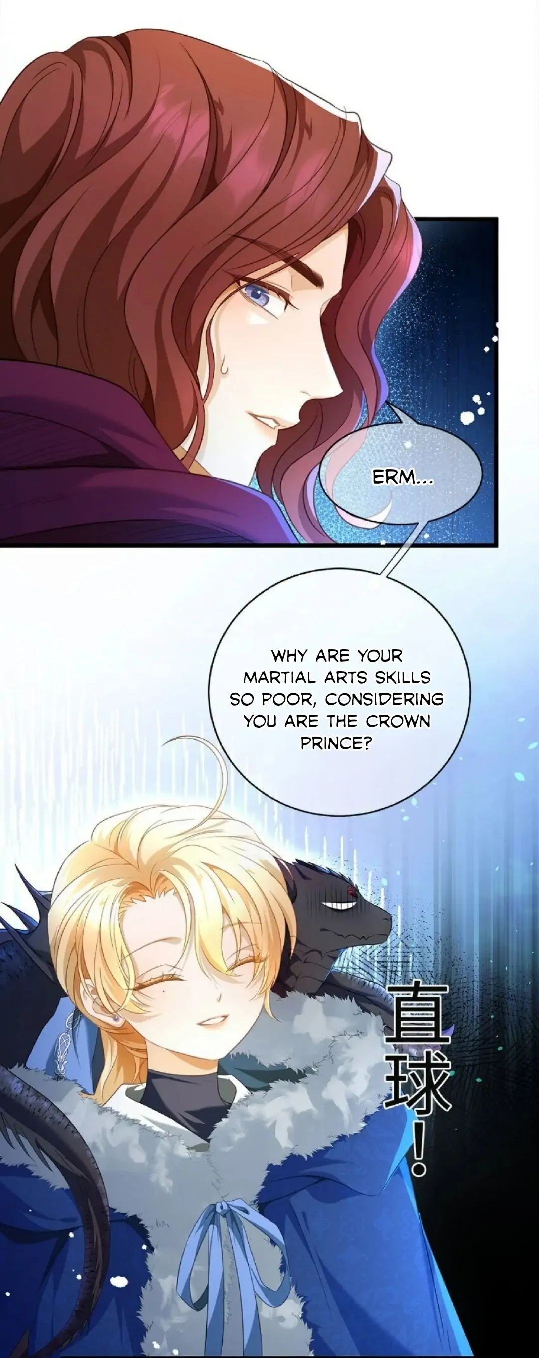 I Was Reborn as His Highness the Prince