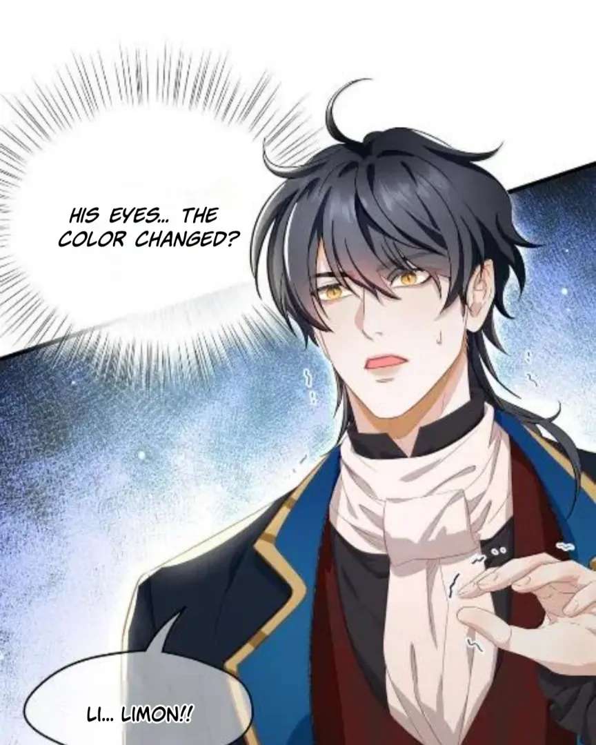 I Was Reborn as His Highness the Prince