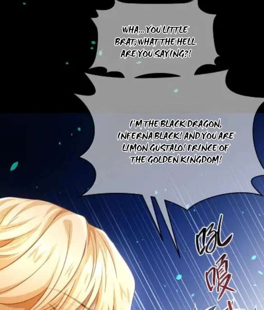 I Was Reborn as His Highness the Prince
