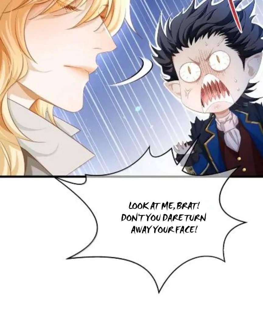 I Was Reborn as His Highness the Prince