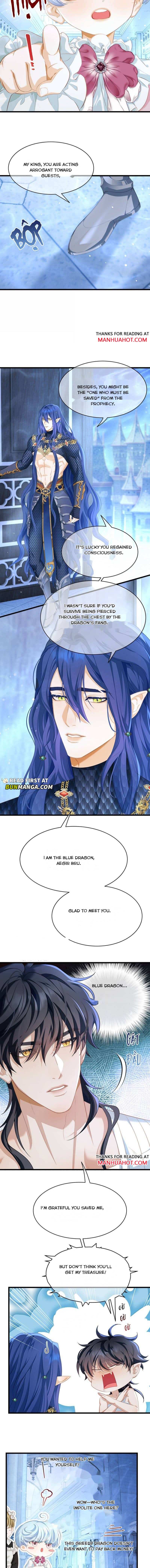 I Was Reborn as His Highness the Prince