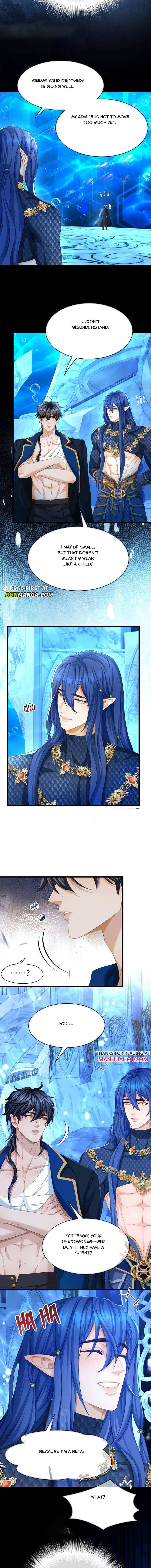 I Was Reborn as His Highness the Prince