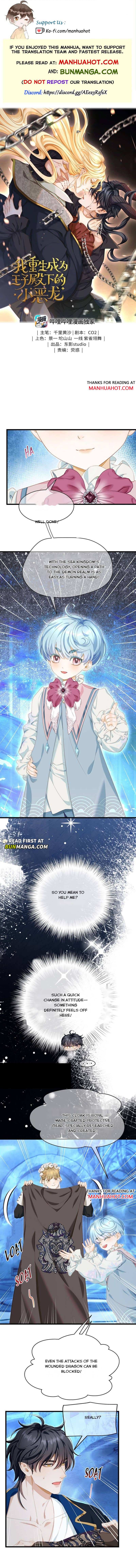 I Was Reborn as His Highness the Prince