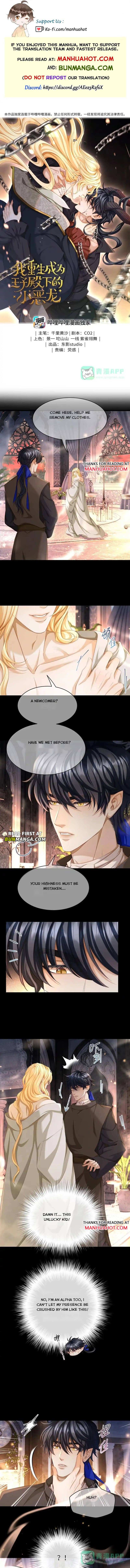 I Was Reborn as His Highness the Prince