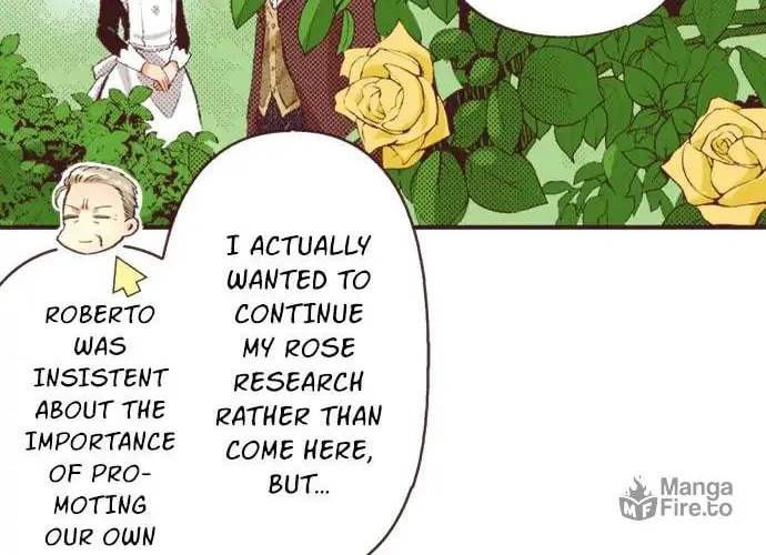 I Was Reincarnated, and Now I