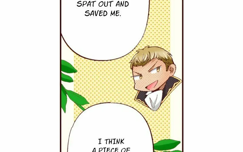 I Was Reincarnated, and Now I