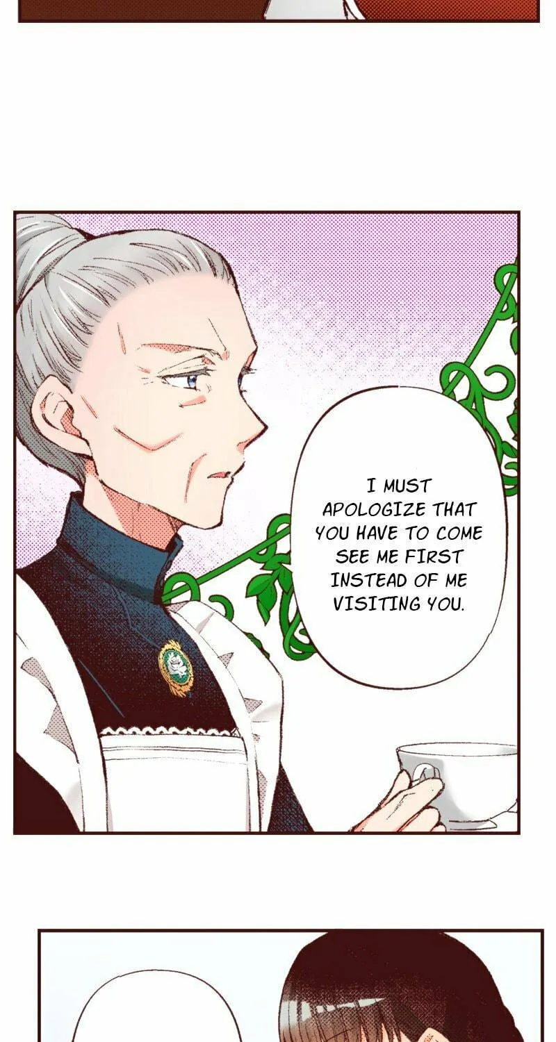 I Was Reincarnated, and Now I