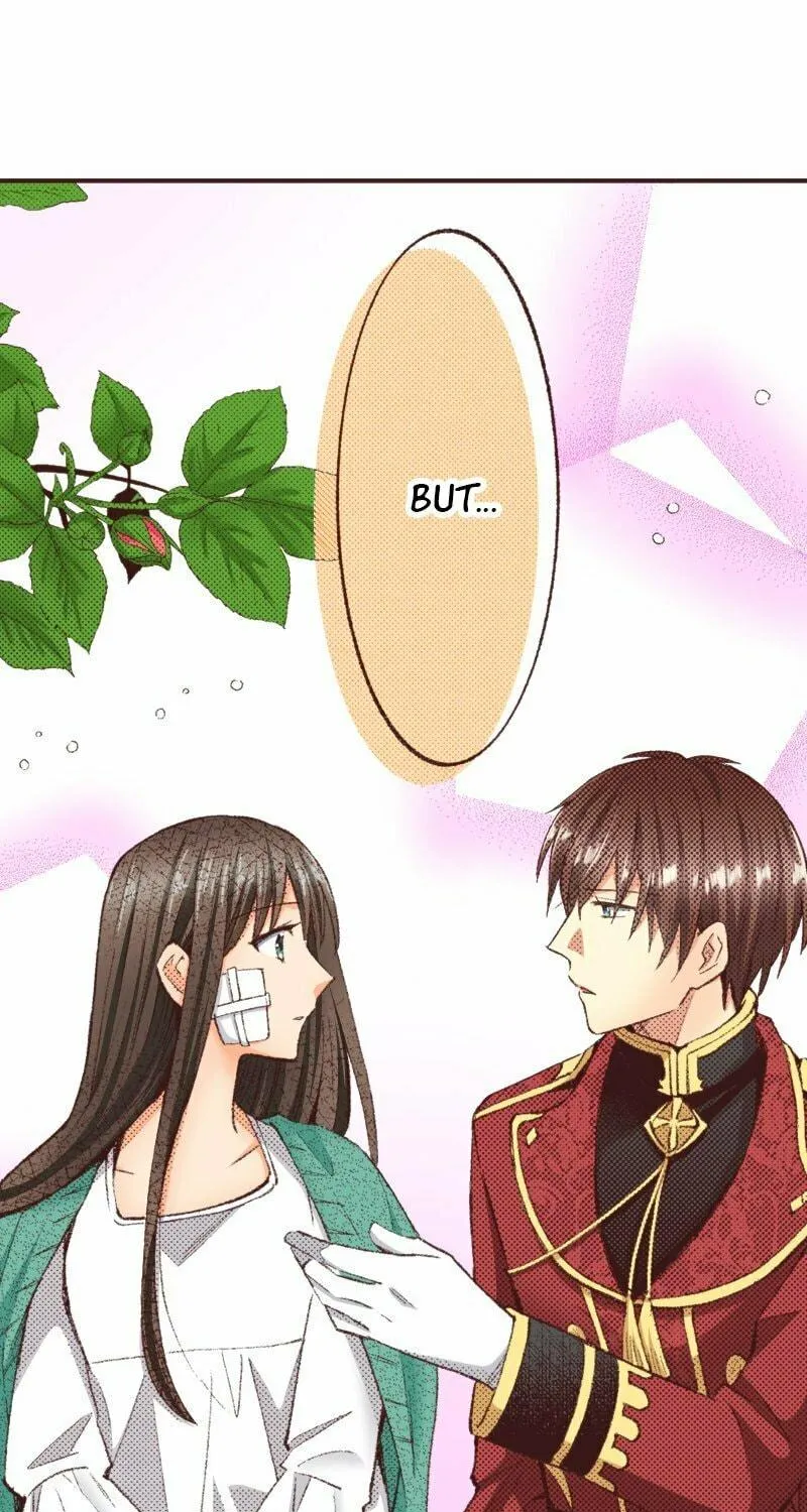 I Was Reincarnated, and Now I