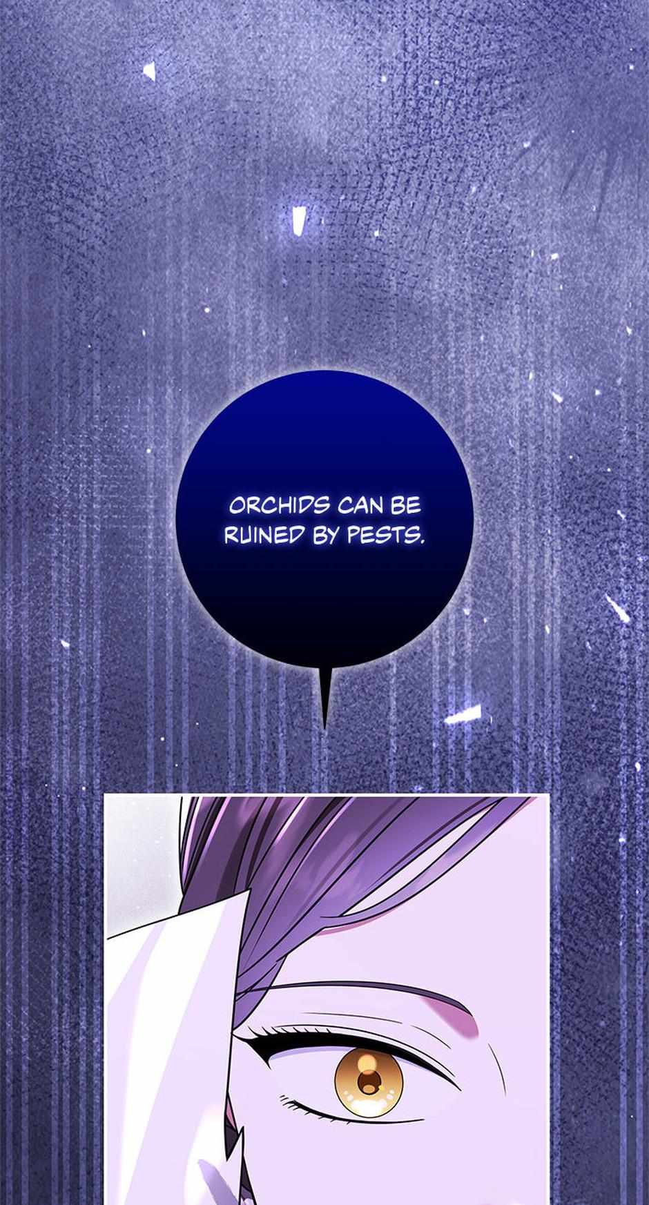 I Was Reincarnated as the Abandoned Baby Princess Chapter 11 page 46 - 