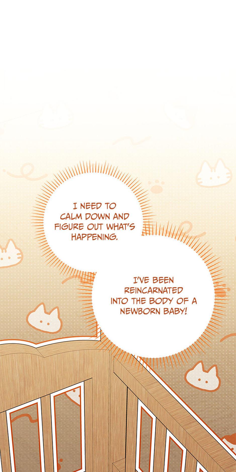 I Was Reincarnated as the Abandoned Baby Princess Chapter 2 page 2 - 